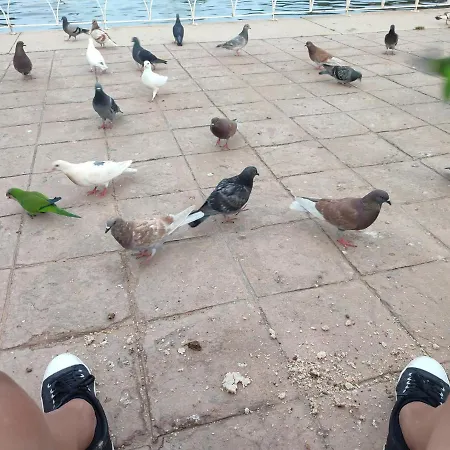Parque Del Mediterraneo Daire