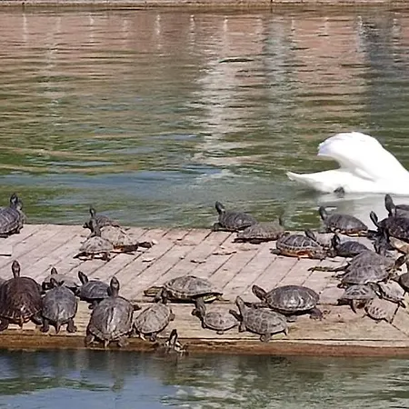 شقة Parque Del Mediterraneo *