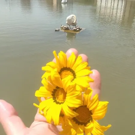 Parque Del Mediterraneo شقة *